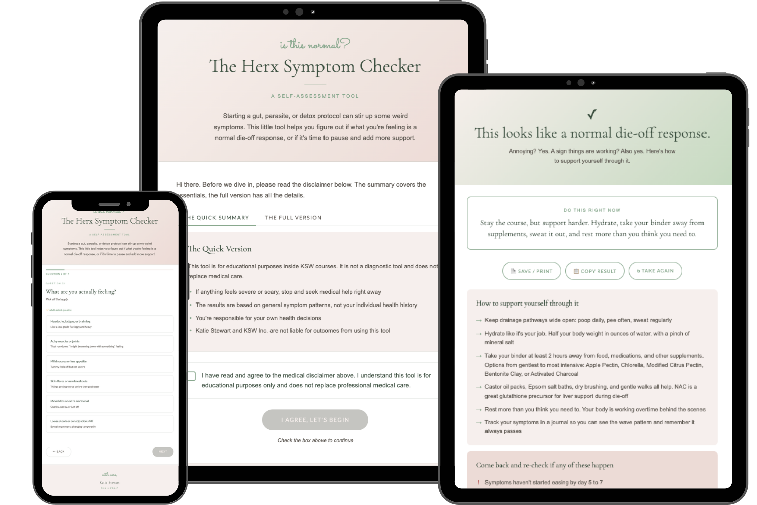 The Herx Symptom Checker, included inside The Acne Detox
